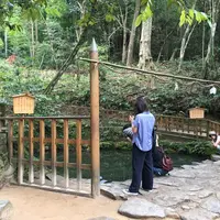八重垣神社の写真・動画_image_146875