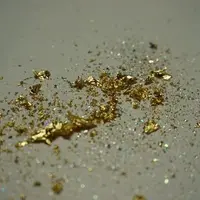 箔座 箔座ひかり藏の写真・動画_image_14691