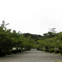安房神社の写真・動画_image_14730