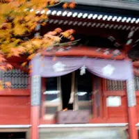 洲崎神社の写真・動画_image_14810