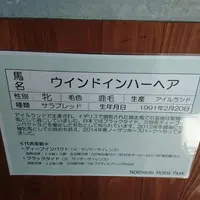 ノーザンホースパークの写真・動画_image_148473