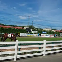 門別競馬場の写真・動画_image_148475