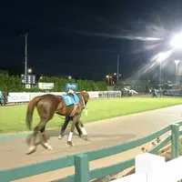 門別競馬場の写真・動画_image_148476
