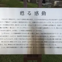 静岡県草薙総合運動場硬式野球場の写真・動画_image_14879