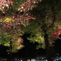 金沢城公園の写真・動画_image_14898