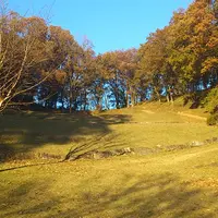 七沢森林公園の写真・動画_image_14900