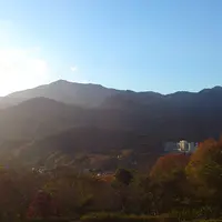 七沢森林公園の写真・動画_image_14901