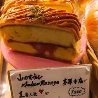 本厚木ミロードの写真・動画_image_149176