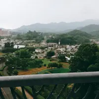 七沢森林公園の写真・動画_image_149177