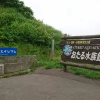 おたる水族館の写真・動画_image_149571