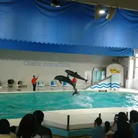 おたる水族館の写真・動画_image_149574