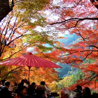 昇仙峡 金渓館の写真・動画_image_14977
