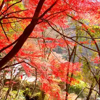 昇仙峡の写真・動画_image_14980