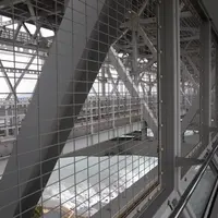 渦の道の写真・動画_image_14984