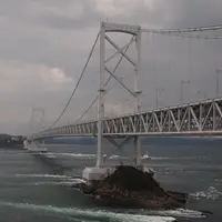 渦の道の写真・動画_image_14987