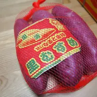 渦の道の写真・動画_image_14990