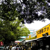 阪神甲子園球場の写真・動画_image_15012