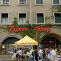 阪神甲子園球場の写真・動画_image_15016