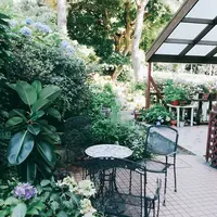 ポポロの写真・動画_image_150305