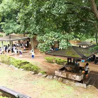 七沢森林公園の写真・動画_image_150636