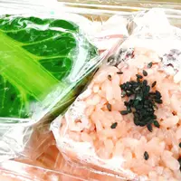 七沢森林公園の写真・動画_image_150637
