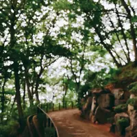 七沢森林公園の写真・動画_image_150703