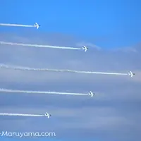 航空自衛隊入間基地の写真・動画_image_15071