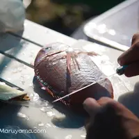 西武市民運動場の写真・動画_image_15072