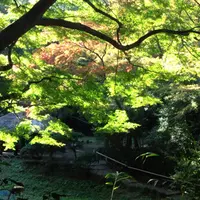 明治神宮の写真・動画_image_15237