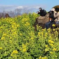 吾妻山公園の写真・動画_image_15262