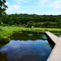 厳島湿生公園の写真・動画_image_15264