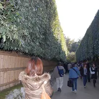 銀閣寺(東山慈照寺)の写真・動画_image_15271