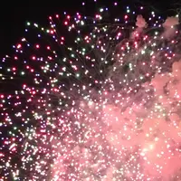 新潟夏祭りの写真・動画_image_153339