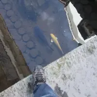 白壁土蔵群の写真・動画_image_15474