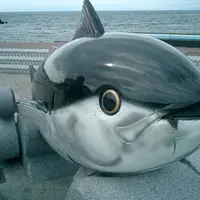 大間崎の写真・動画_image_15502