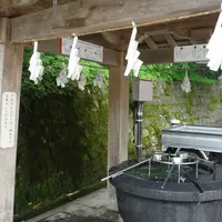 戸隠神社中社の写真・動画_image_155248