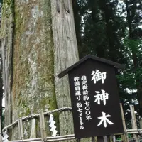 戸隠神社中社の写真・動画_image_155254