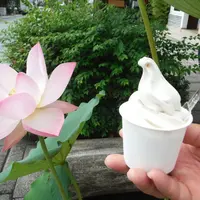 竹風堂善光寺大門店の写真・動画_image_155382