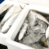 マルヨ商店の写真・動画_image_15612