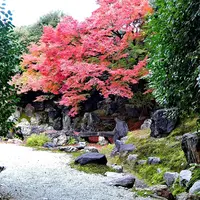 くろちく産寧坂店・青龍苑の写真・動画_image_156649