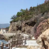 仙酔島の写真・動画_image_15825
