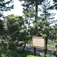 延台寺の写真・動画_image_158506