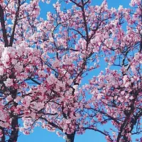 熱海サンビーチの写真・動画_image_158928