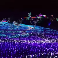 伊豆ぐらんぱる公園の写真・動画_image_158935