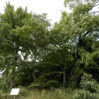 大阪城豊國神社の写真・動画_image_15912