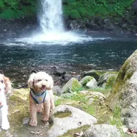 萬城の滝の写真・動画_image_159873