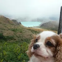 草津白根山の写真・動画_image_159885