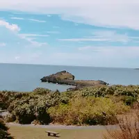 東平安名崎の写真・動画_image_159936