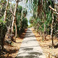 通り池の写真・動画_image_160032