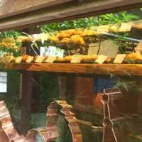 MOROPAIN (モロパン)の写真・動画_image_160163